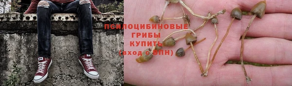 ГАЛЛЮЦИНОГЕННЫЕ ГРИБЫ Алзамай