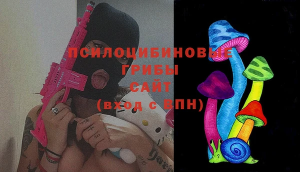 ГАЛЛЮЦИНОГЕННЫЕ ГРИБЫ Алзамай