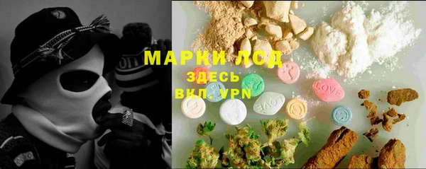 ГАЛЛЮЦИНОГЕННЫЕ ГРИБЫ Алзамай